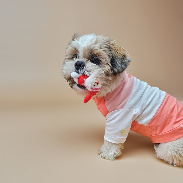 COLORBLOCKED T SHIRT