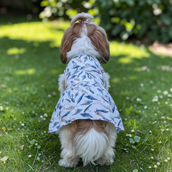 The fintastic flounce
